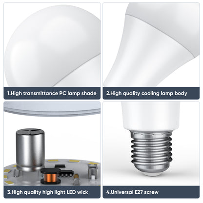 E27 White Energy-Saving LED Spherical Bulb Pack
